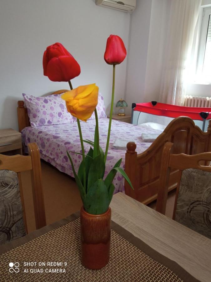 Apartman Andelina Vrnjačka Banja エクステリア 写真