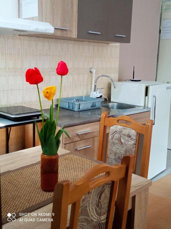 Apartman Andelina Vrnjačka Banja エクステリア 写真