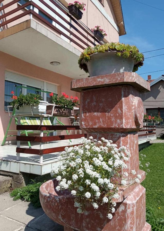 Apartman Andelina Vrnjačka Banja エクステリア 写真